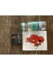 Cypionate "SP Labs" (10ml/200mg)