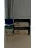 Boldenone "Magnus" (10ml/250mg)