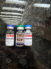 MOTS-c "SP Labs" (5mg)