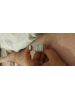 Testosterone Propionate ''Cygnus'' (10ml/100mg) 