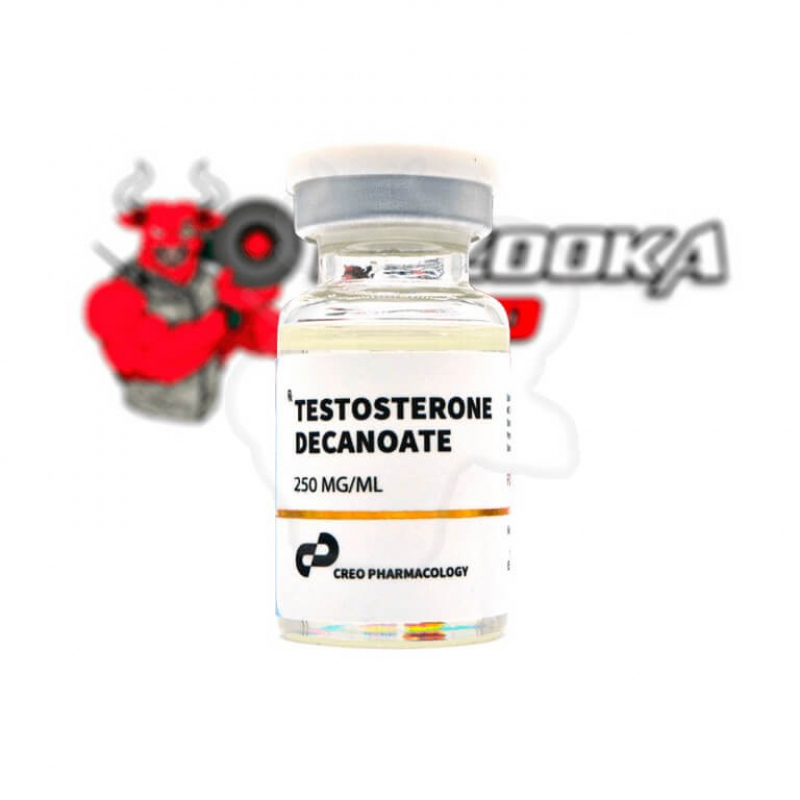 Testosterone Decanoate ''Creo'' (10ml/250mg) Testosterone Decanoate ''Creo'' (10ml/250mg)