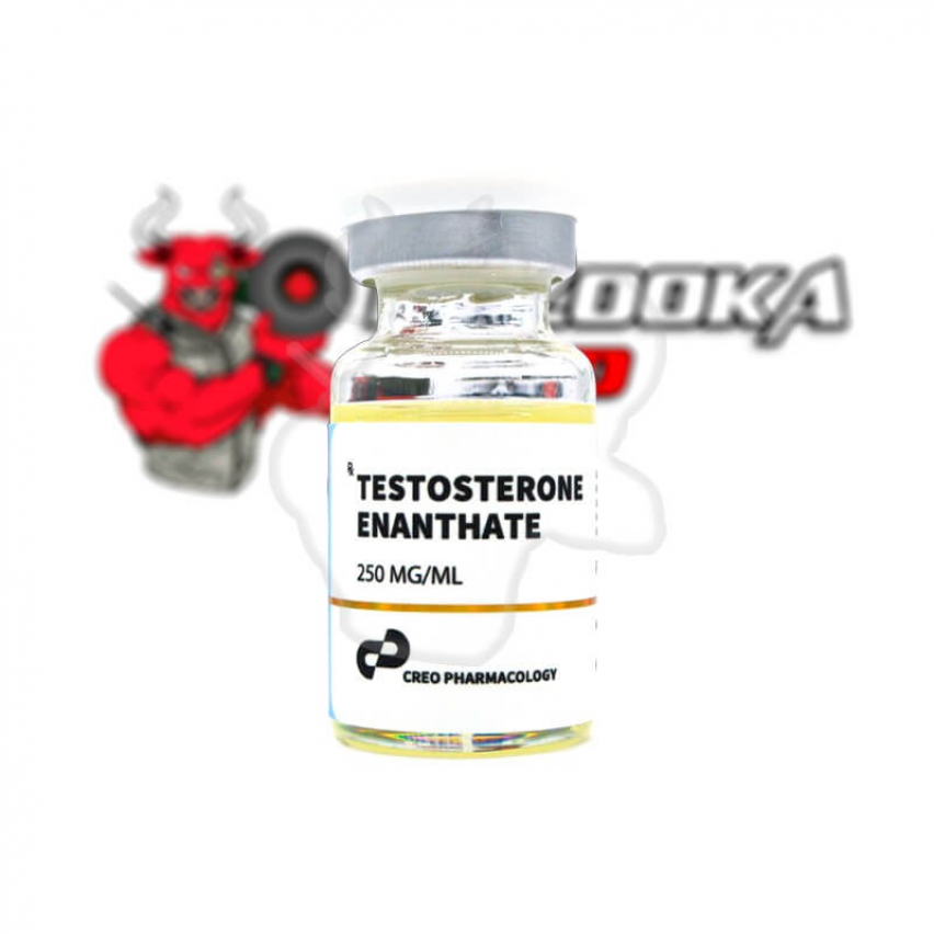 Testosterone Enanthate "Creo" (10ml/250mg)