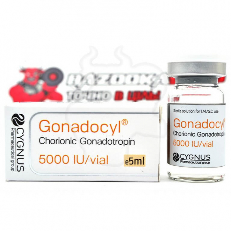 Gonadocyl Liquid "Cygnus" (5000UI) Gonadocyl Liquid "Cygnus" (5000UI)