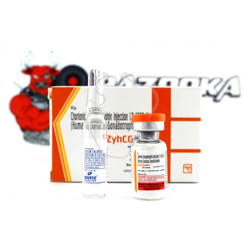 Уцінка - Gonadotropin Zyhcg Hp "ZYDUS" (5000UI) - Термін до 06,26 Уцінка - Gonadotropin Zyhcg Hp "ZYDUS" (5000UI) - Термін до 06,26