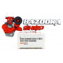 Уцінка - Gonadotropin Zyhcg Hp "ZYDUS" (5000UI) - Термін до 06,26 Уцінка - Gonadotropin Zyhcg Hp "ZYDUS" (5000UI) - Термін до 06,26