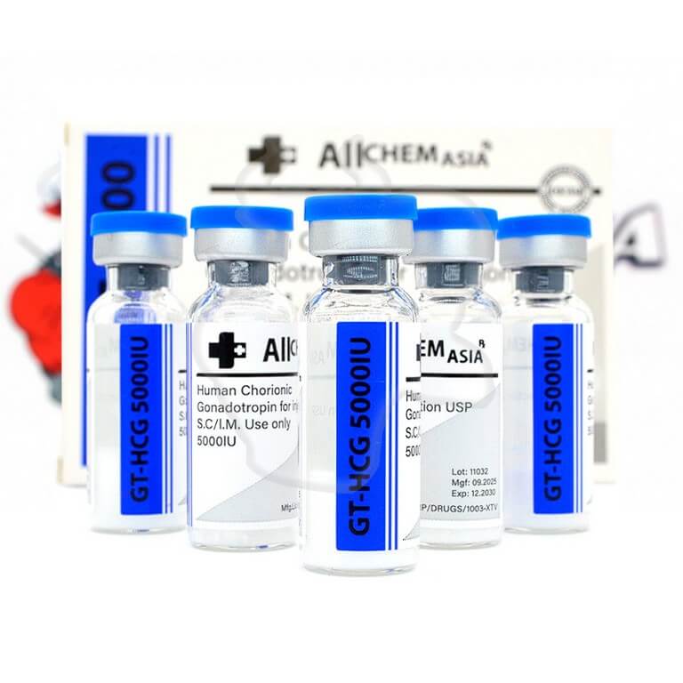 GT-HCG 5000 IU AllChem Asia — Bazooka-Shop